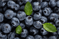 berries1 (1).png